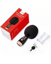 ZealSound Karaoke Wireless