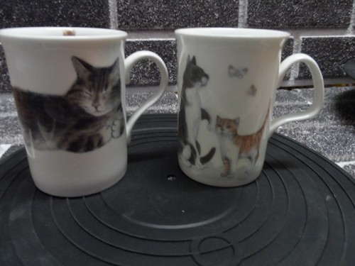 Cats mugs roy - roy, kirkham