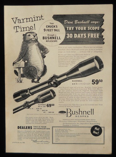 1955 chuck varmint - 1955,