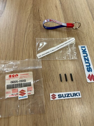 Suzuki rg400 rg500 pin - rg500,