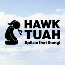 Hawk Tuah Spit on that Thang Thing Vinyl Sticker Car Decal Novelty Funny