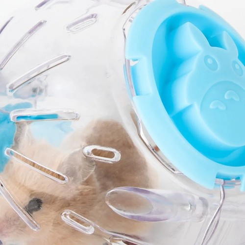 Small pet hamster exercise - small,