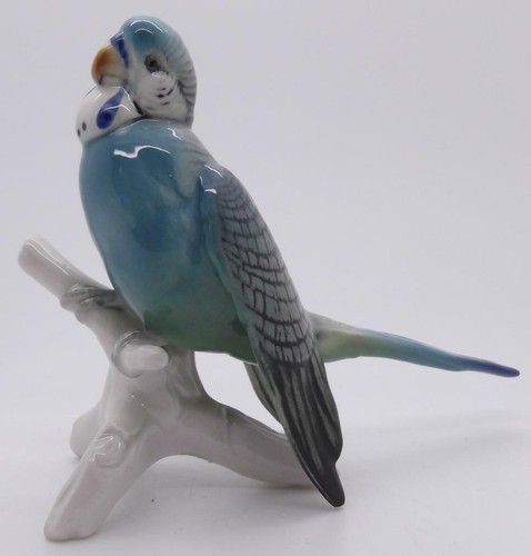 Karl ens porcelain blue - karl, budgie