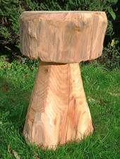 Tree trunk mushroom stool, story telling seat, rustic wooden drinks end table