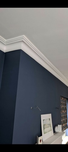 Plaster coving swan - plaster, coving.
