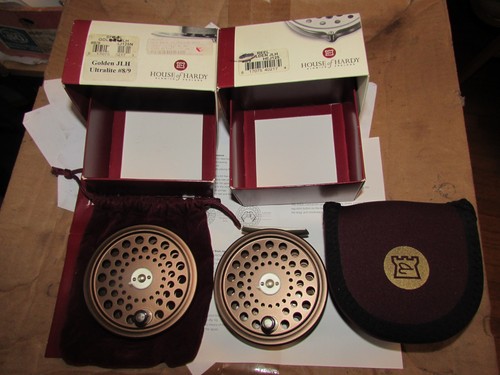 Stunning unused hardy - stunning, golden