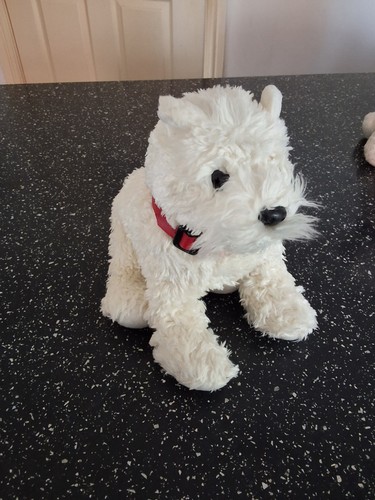 2005 westie west highland - ty,