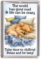 Pomeranian Dog Fridge Magnet