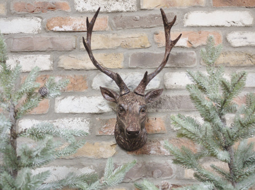 Wall mounted stag - mounted, deer