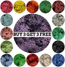 Natural Norwegian Reindeer Moss Preserved Dried Craft Flower Stamen Decoration