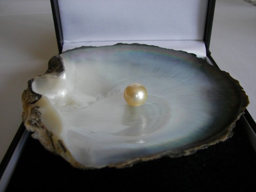 Single genuine round - single,