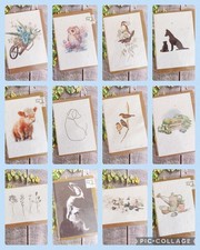 Plantable Wildflower Seed