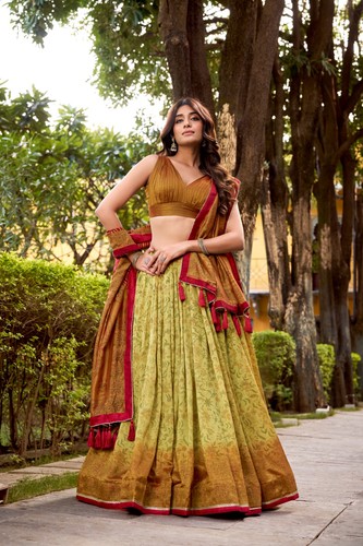 Bridal lehenga choli - bridal, wedding