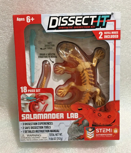 Stem dissect synthetic - stem,