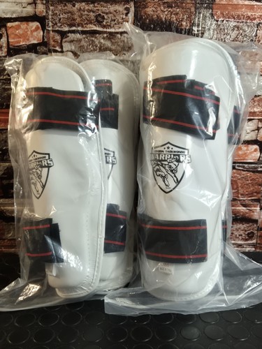 London taekwondo warriors - warriors, shin