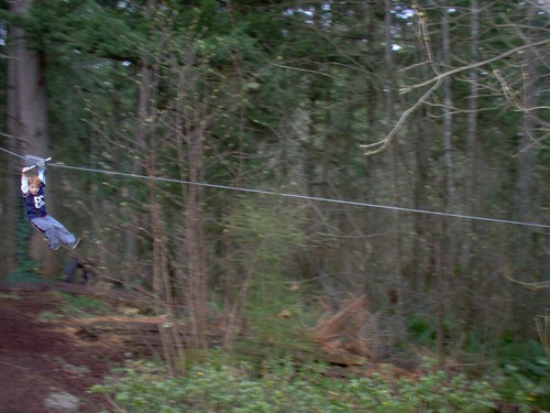 Zip line 100 kit - line, trolley