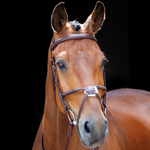 Shires salisbury brackley - shires,