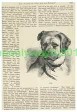 Rab by Dr John Brown, Book