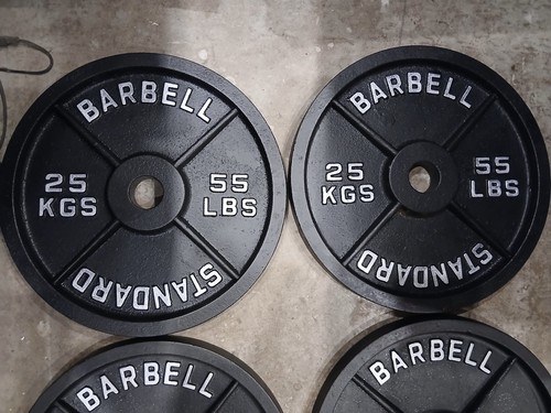 25kg standard barbell - x,