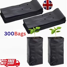 300 Bulk Black Plastic Plant