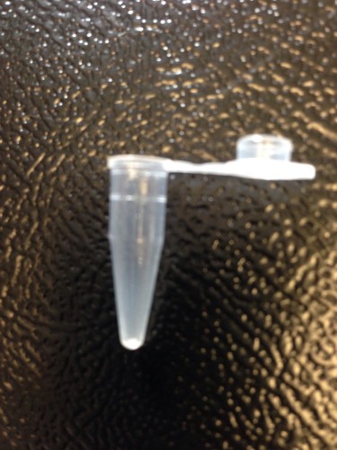 Pcr tubes - pcr,