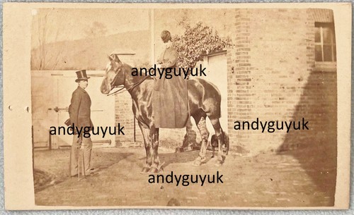Cdv lady horse riding side - horse,