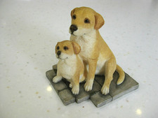 Sherratt & Simpson Labrador