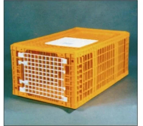 Large turkey poultry - turkey, crate