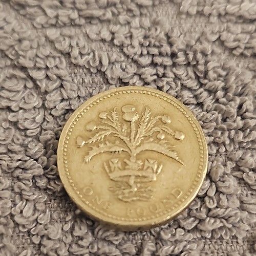Pound coin 1984 - 1, nemo