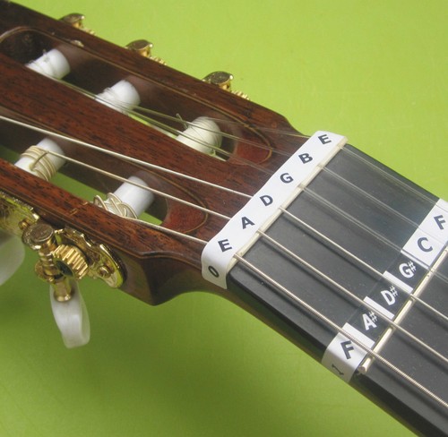 Spanish guitar fret - guitar,