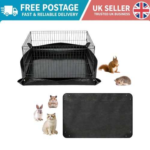 Waterproof guinea pig - waterproof,