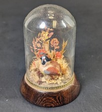 Vintage TERRARIUM Glass Dome