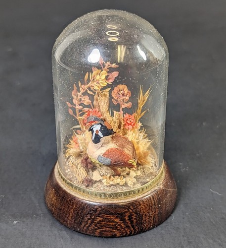 Vintage terrarium glass - vintage,
