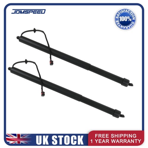 Pair electric tailgate - pair, struts