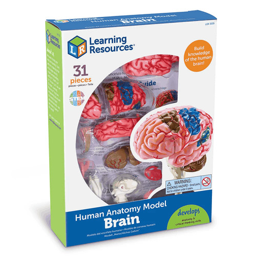 Learning resources detailed - resources,