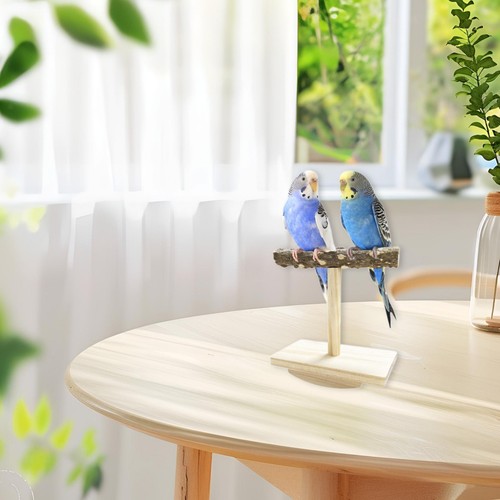 Bird stand perch toy - bird,