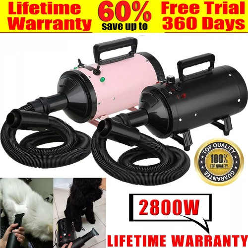 Dog hair dryer blaster - dog,