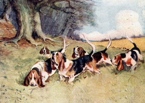 Basset hound dog greeting card - hound,