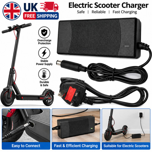 42v electric scooter - 2a,