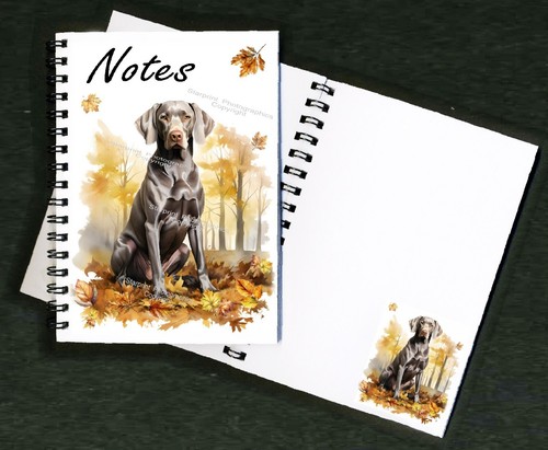 Weimaraner dog - weimaraner,
