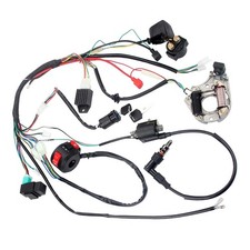 Startor Wiring Harness Loom