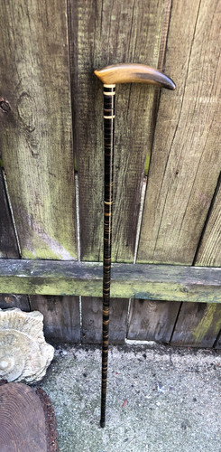 Walking stick antique - stick, scottish