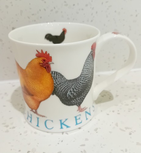 Dunoon chickens richard - chickens,