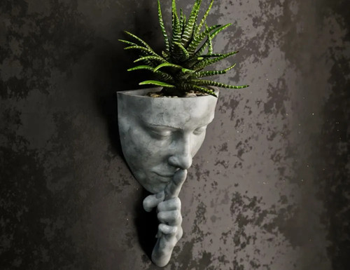 Wall mounted plant - plant, pot
