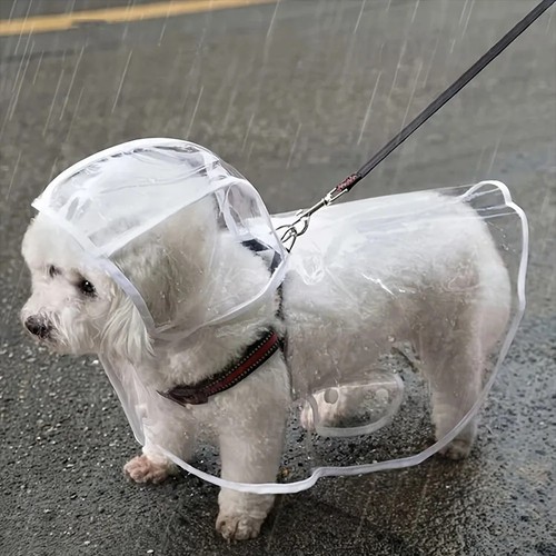 Transparent waterproof dog - waterproof,