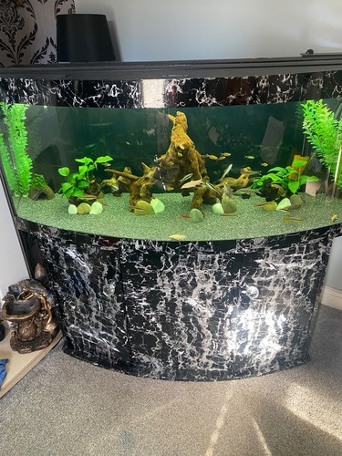 Juwel 450 bow fish - juwel,