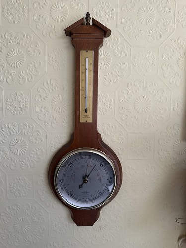 Vintage banjo style shortland - banjo,