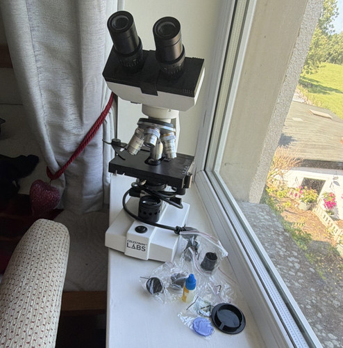 Celestron binocular upright - celestron,