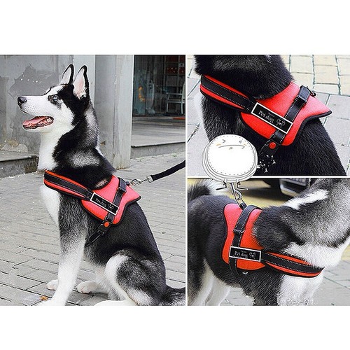Dog adjustable control - dog,