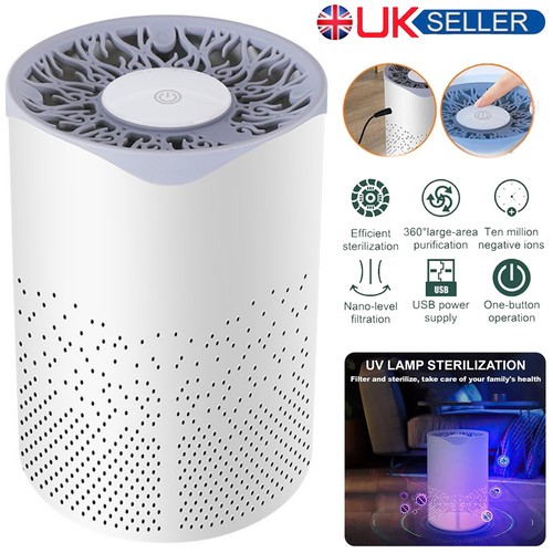 Air purifier for large - for,